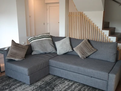 Living room with the sofa bed